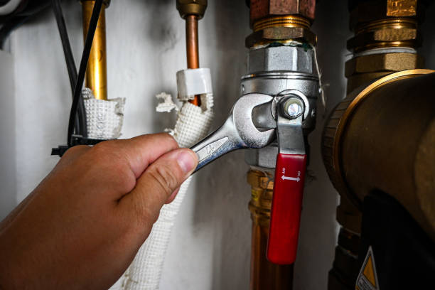 Best Clogged Drain Plumber  in Parlier, CA